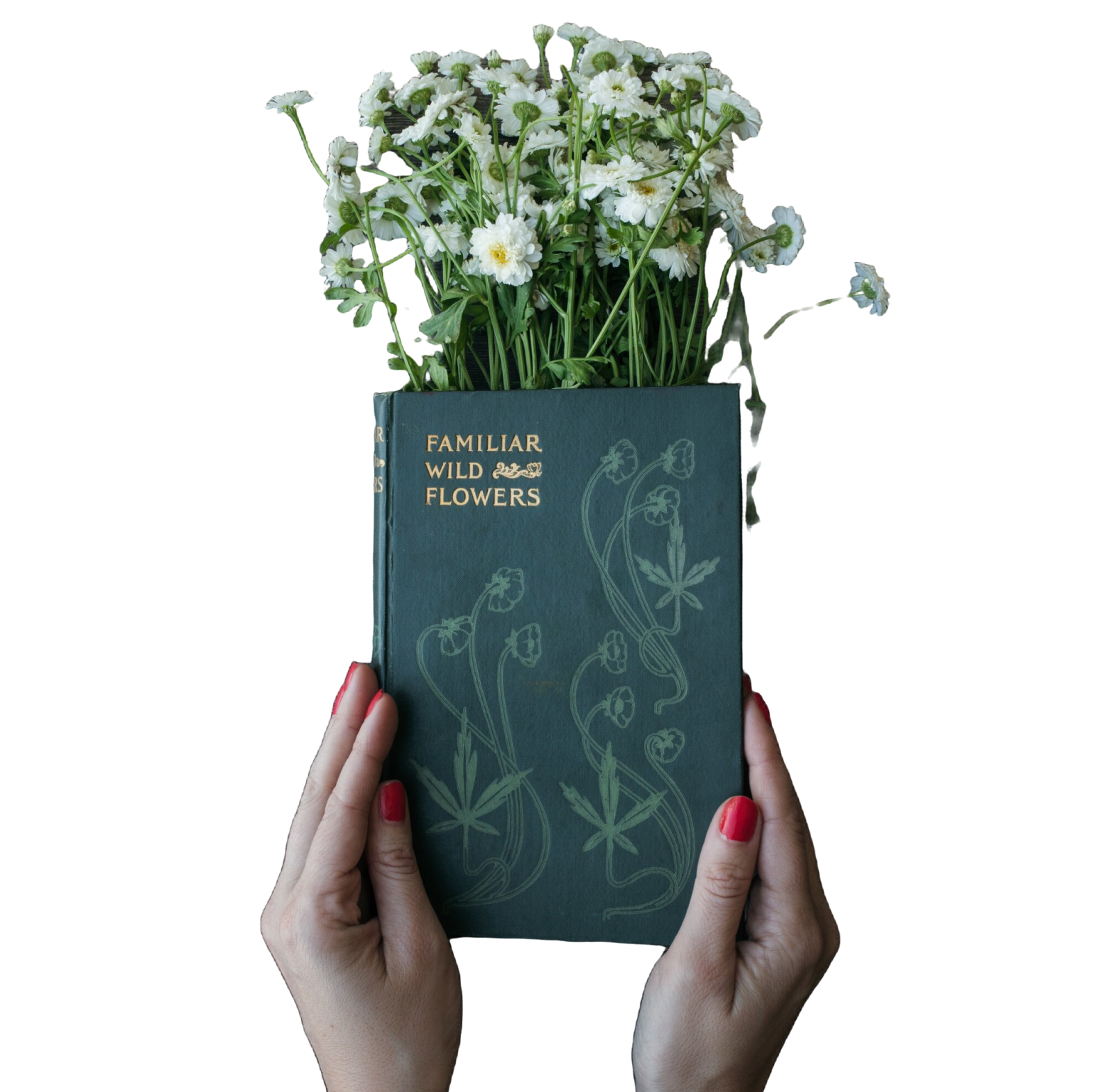 library book